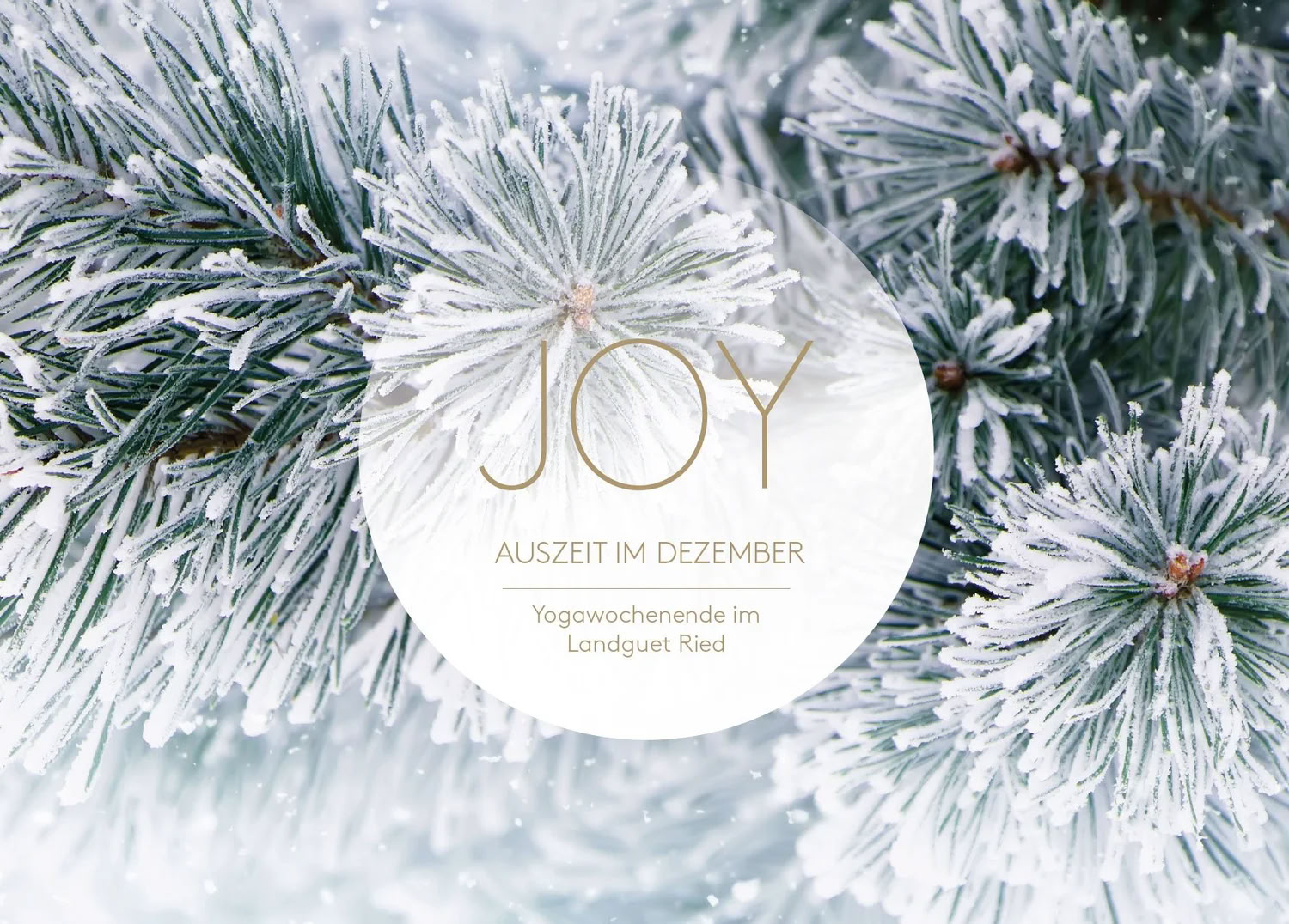 Yoga-paus i december | med Joy Yoga — Landguet Ried, centrum för medvetet liv | retreatcenter och kursgård