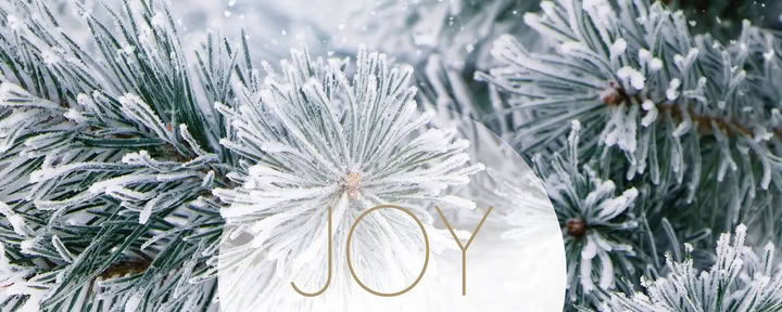 Yoga-paus i december | med Joy Yoga — Landguet Ried, centrum för medvetet liv | retreatcenter och kursgård