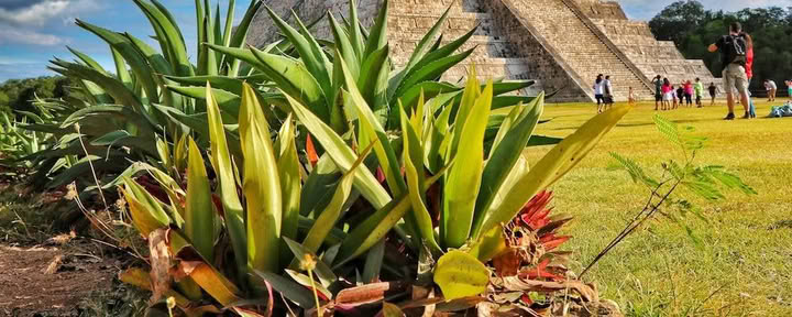 7-dagars detox vid havet: introduktion till ayurveda och yoga