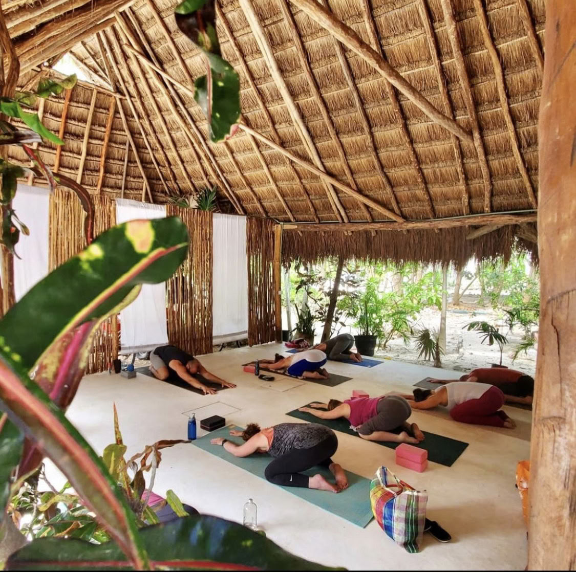 7 dagars yoga- och träningssemester med andning, styrka och blomstring i Riviera Maya