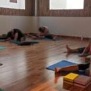 7 dagars yogaretreat i Rishikesh