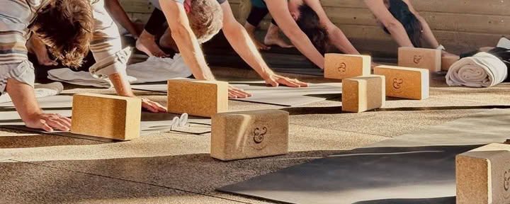 Inte så allvarligt yogaretreat