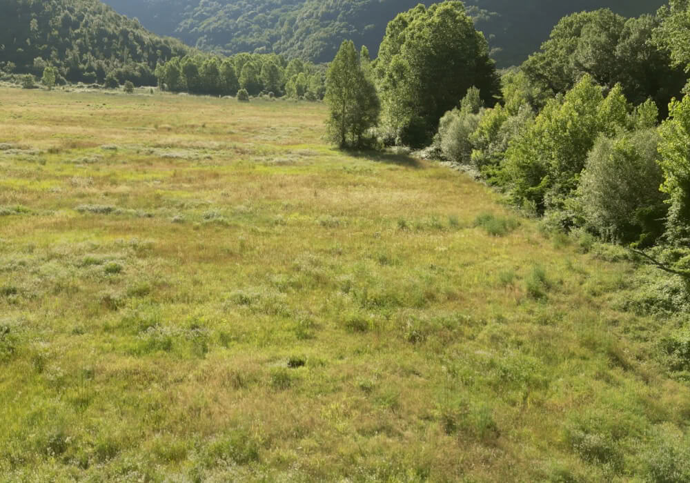 Retreat för män bortom bruset