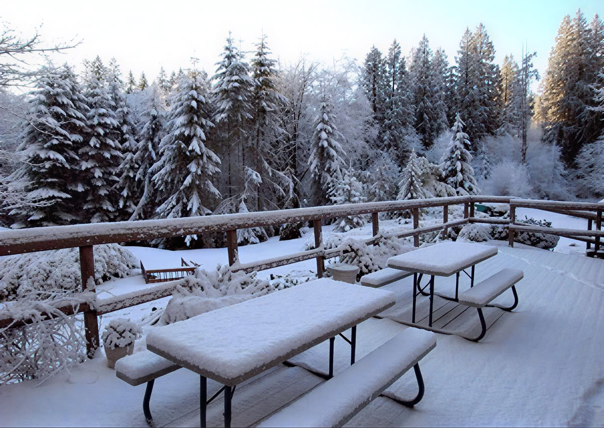 Att stilla sinnet, väcka hjärtat: en insiktsmeditationsretreat -- lotteriretreat