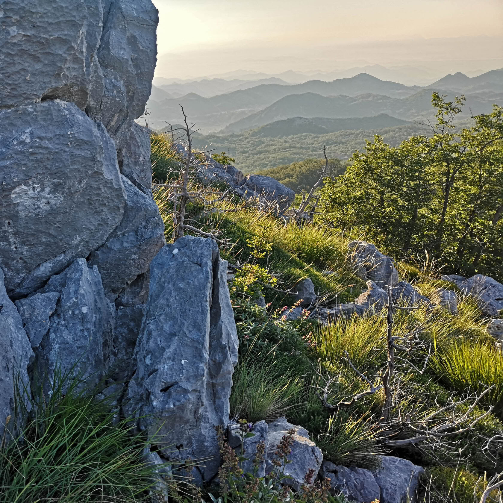 8 dagar vild stillhet i Montenegro, fitnessretreat