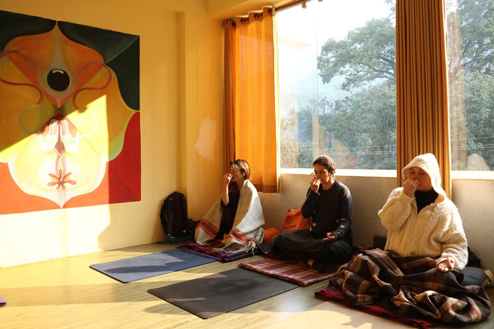 100-timmars yogalärarutbildning i Rishikesh, Indien