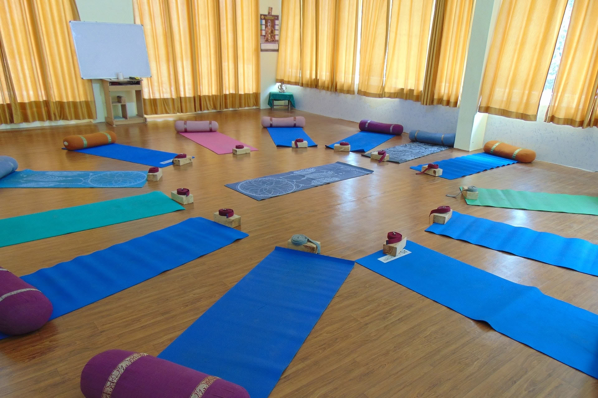 6-dagars yinayogakurs i Rishikesh