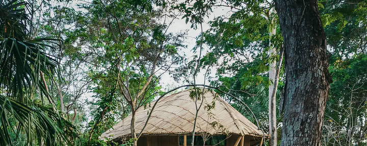 Yoga-retreat i naturen