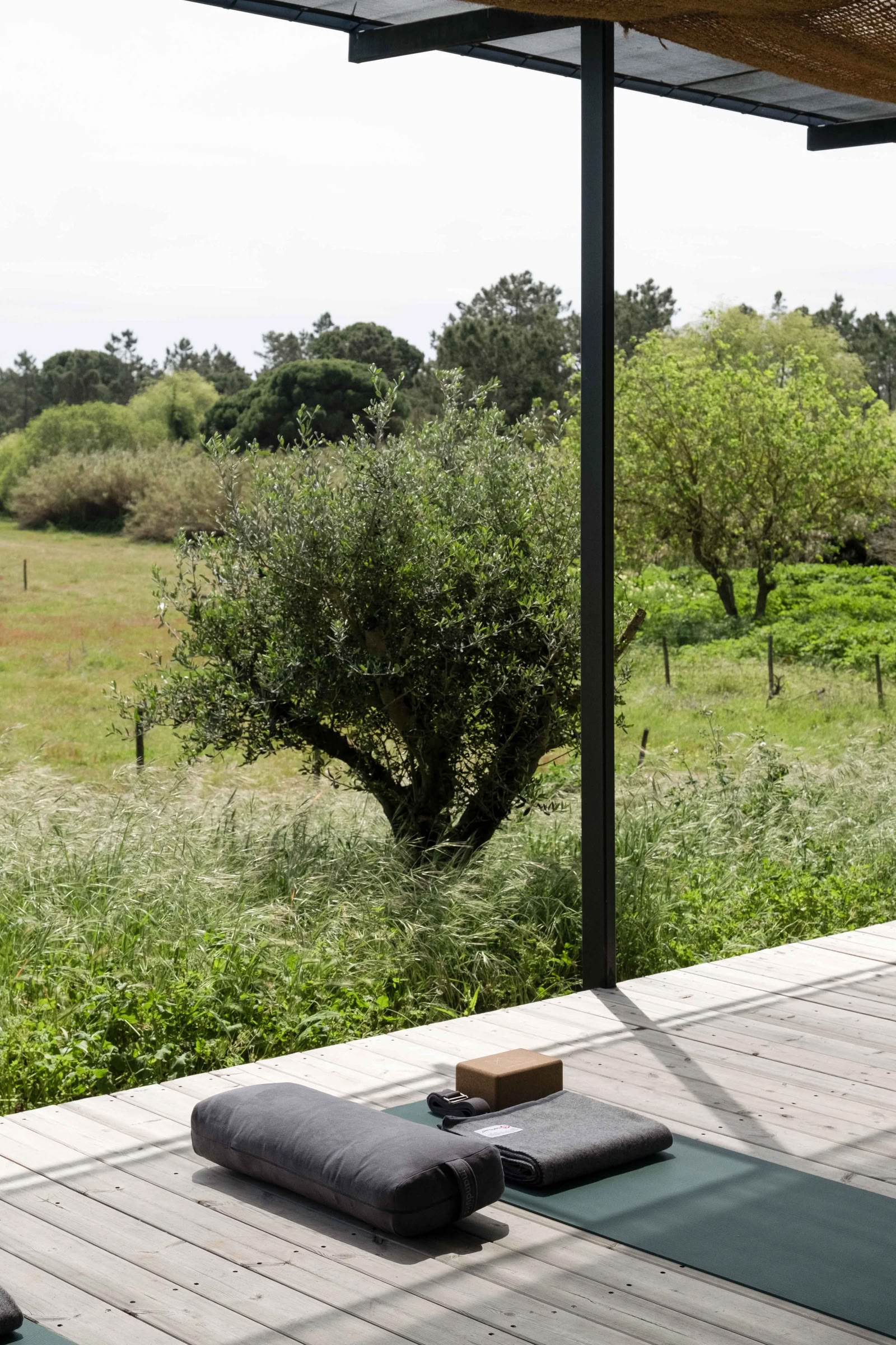 Rot och väx: yogaretreat i Portugal, september 2026
