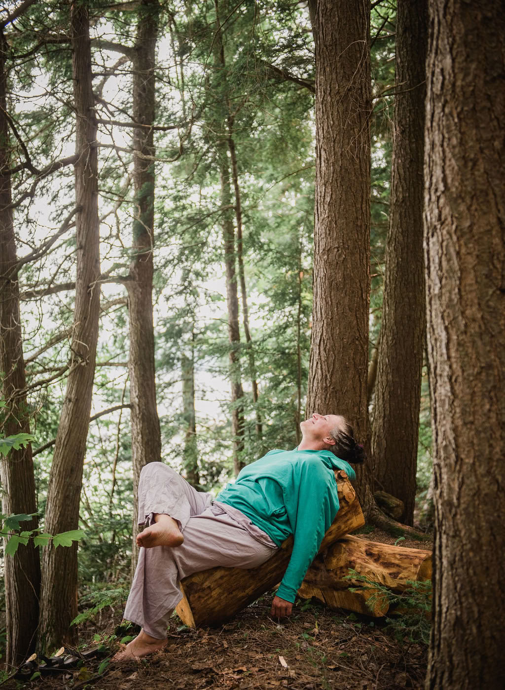 Anslut med det vilda-retreatet