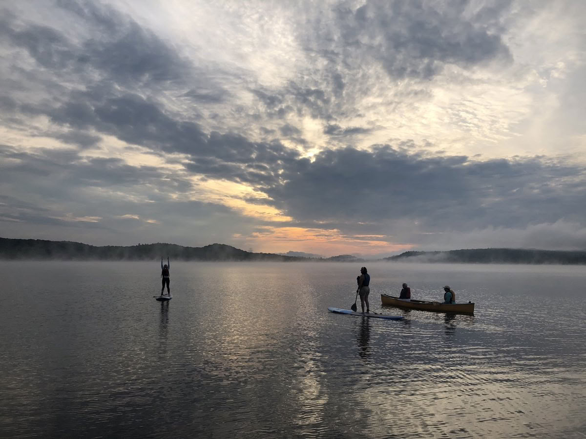 Anslut med det vilda-retreatet