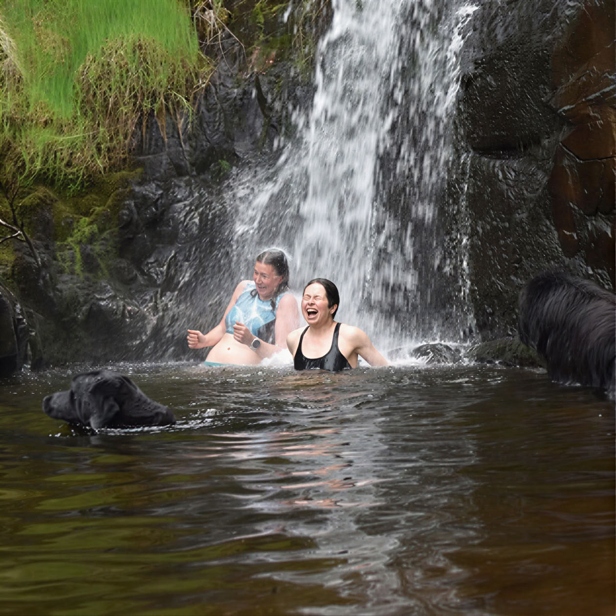 Vildsimsretreat