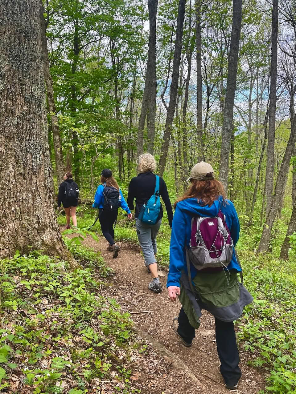 Natur och lycka – yogaretreat i North Carolina