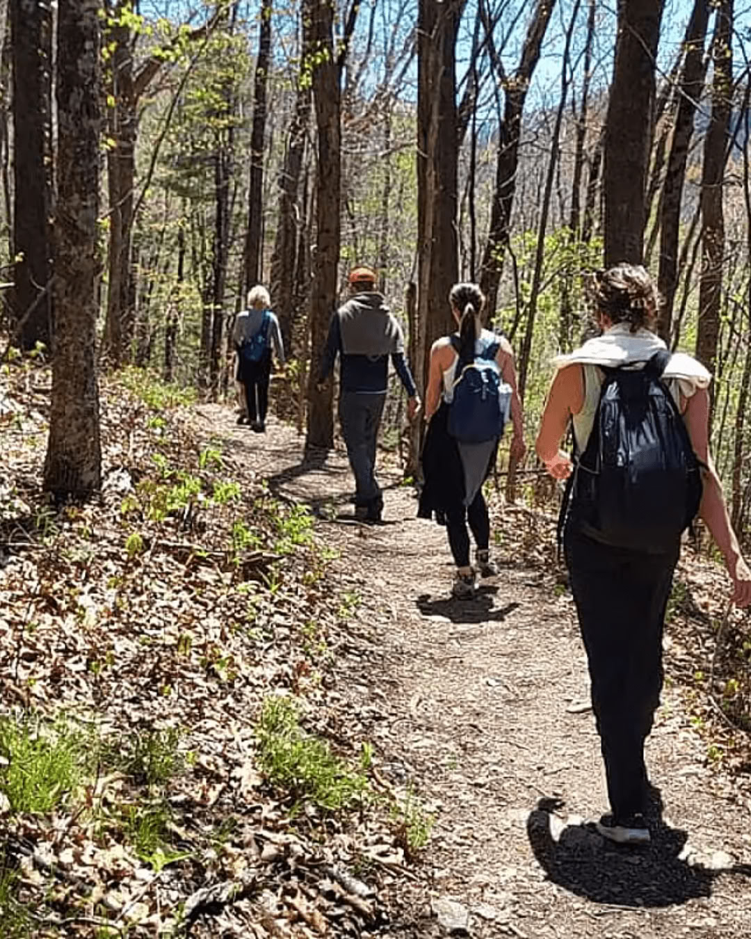 Natur och lycka – yogaretreat i North Carolina