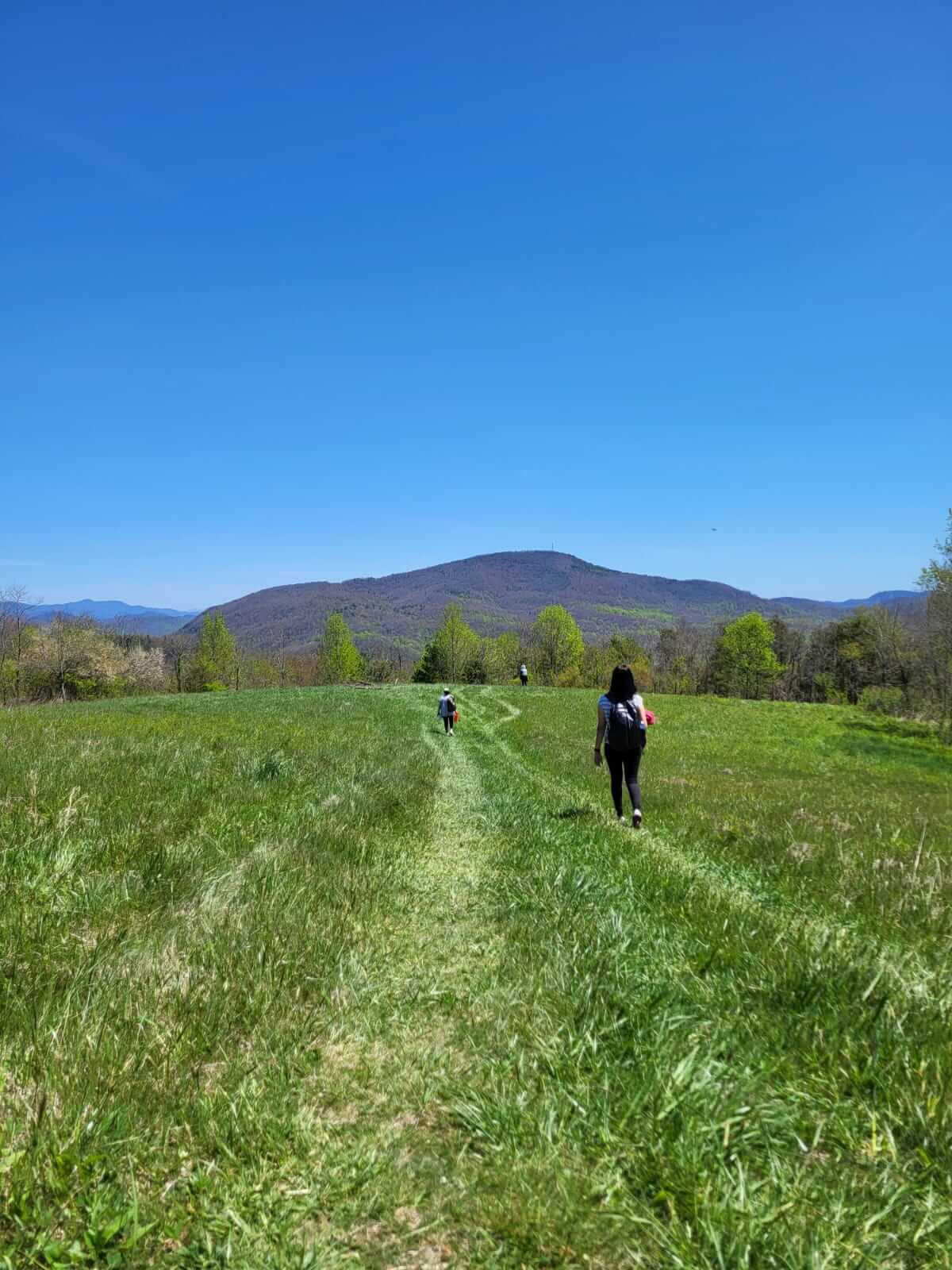 Natur och lycka – yogaretreat i North Carolina