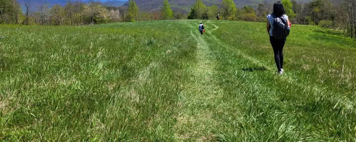 Natur och lycka – yogaretreat i North Carolina