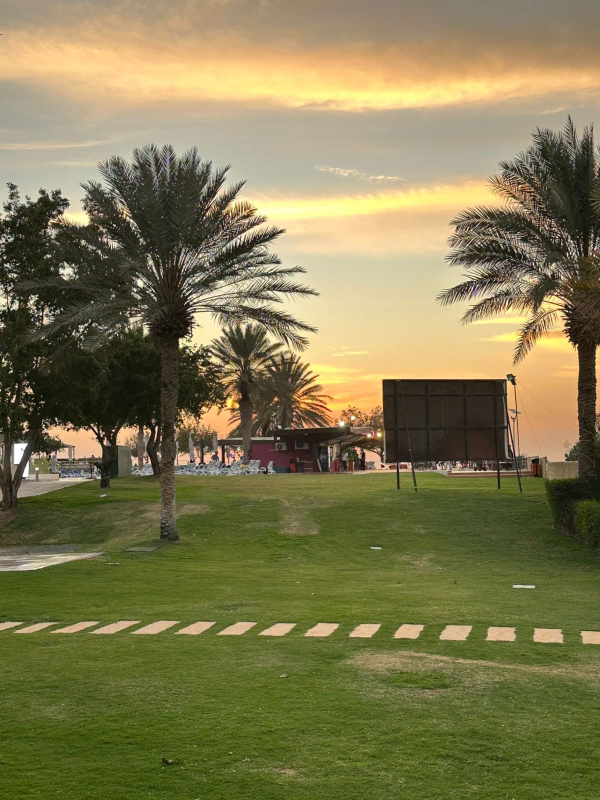 Solnedgångsyoga i Jubail Mangrove Park