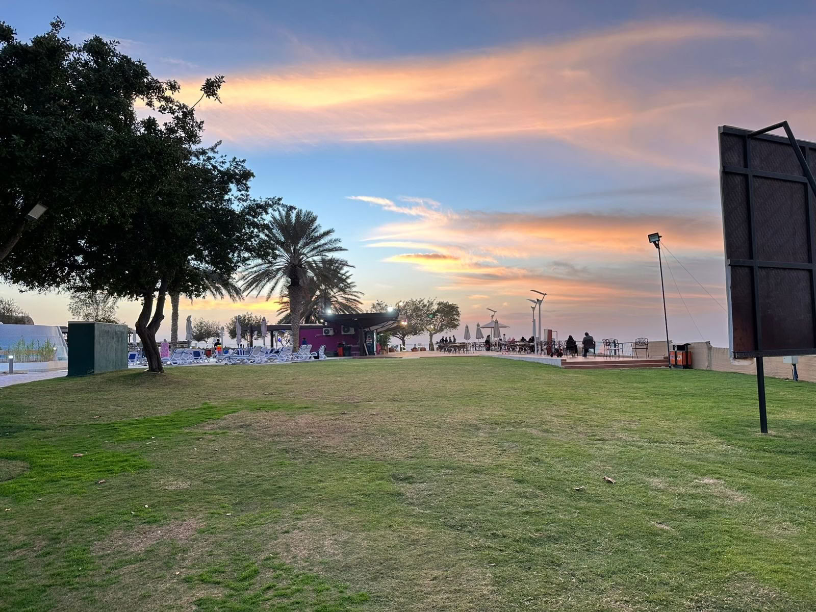 Solnedgångsyoga i Jubail Mangrove Park