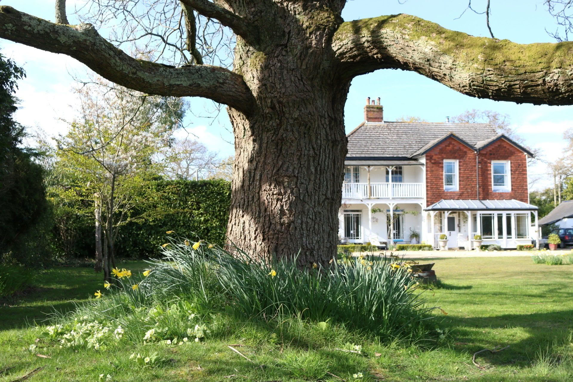 Yoga-, vandrings- och keramikretreat i New Forest, Hampshire