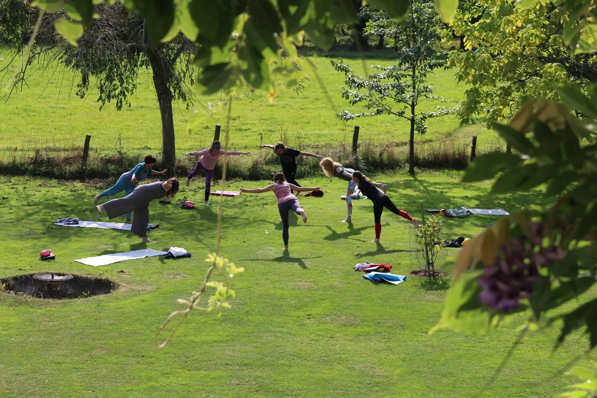 Yoga-, vandrings- och keramikretreat i New Forest, Hampshire