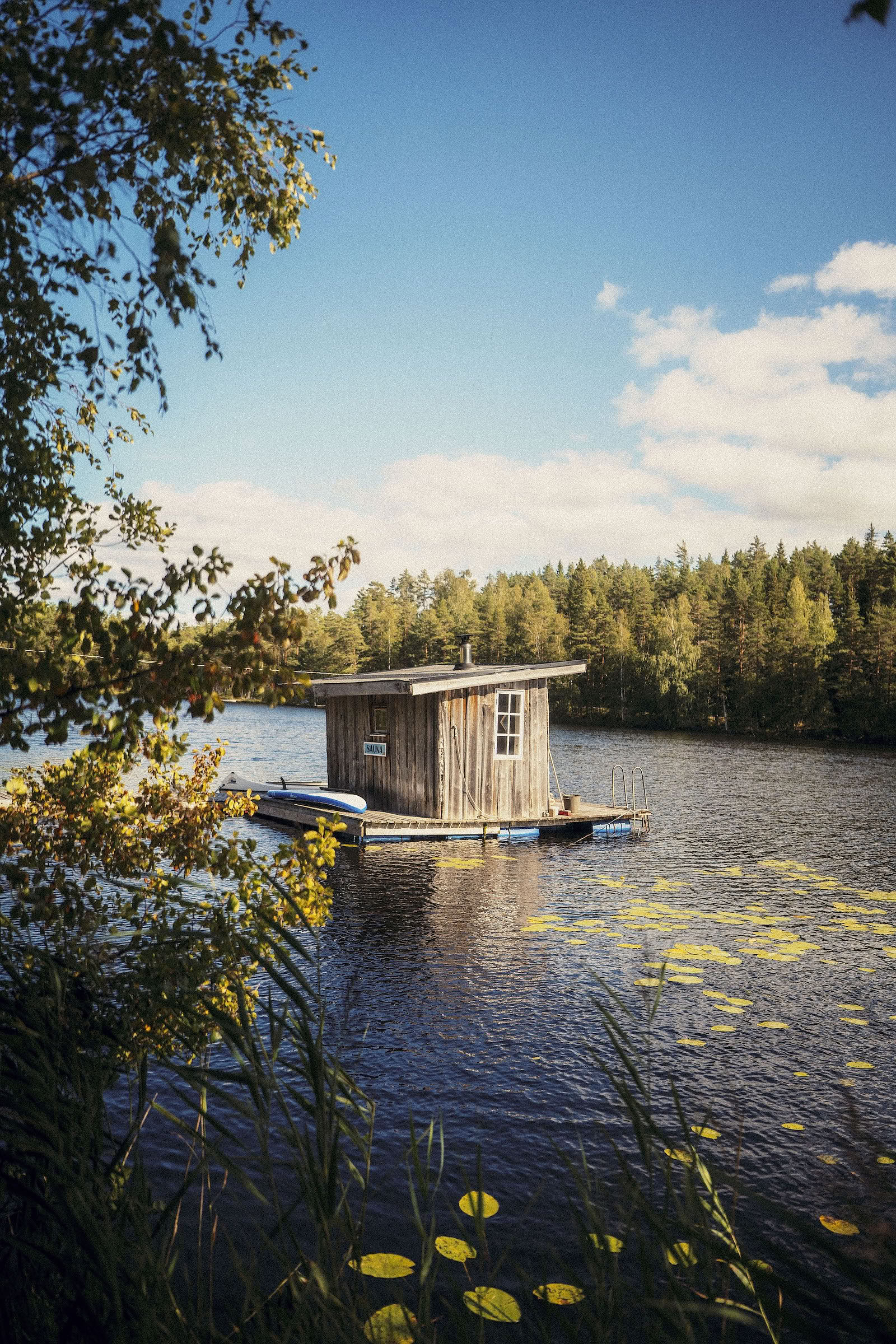 Vild svensk yoga-retreat: Vila och återförvilda dig i den svenska skogen