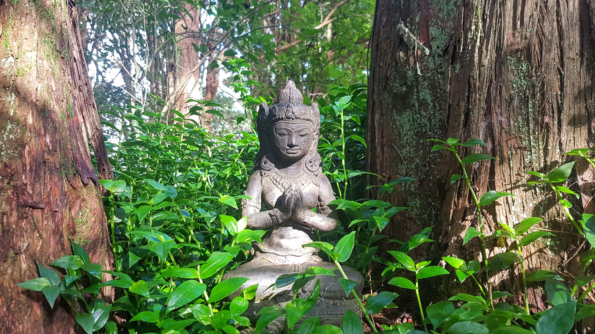 23–30 september tyst retreat med Radha från Heart Awakening