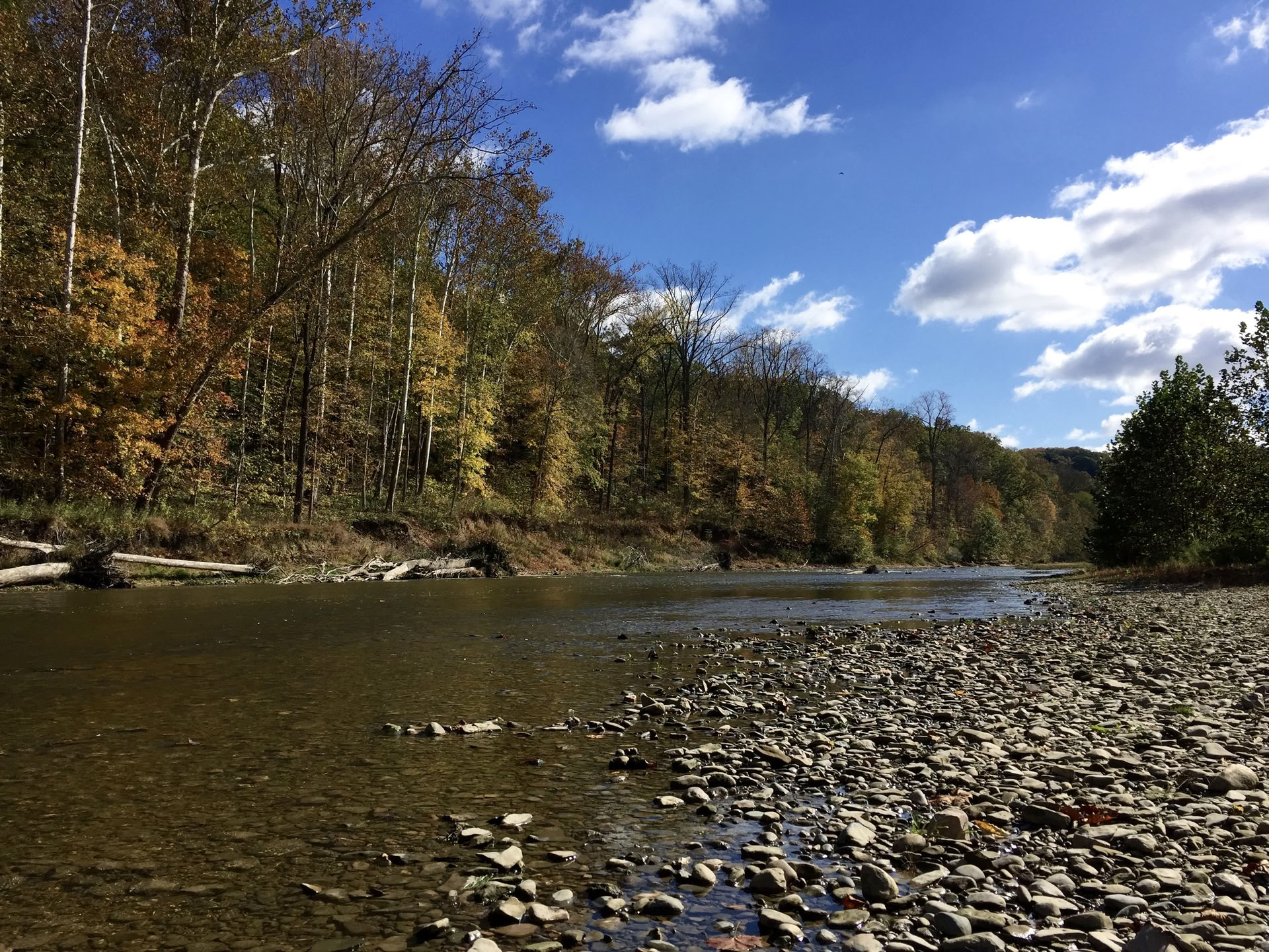 ALLIOM höstdagjämningsyoga 2026 — Sugar Creek Retreat