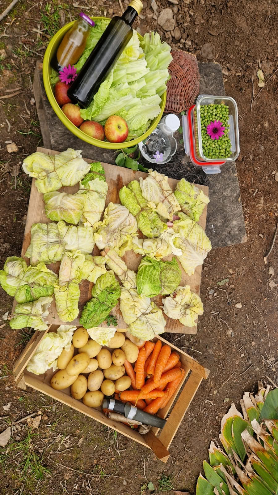 Matlagning utomhus