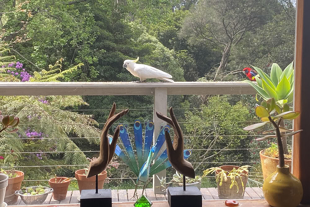 3-dagars privat flexibel spirituell retreat 1 timme från Melbourne