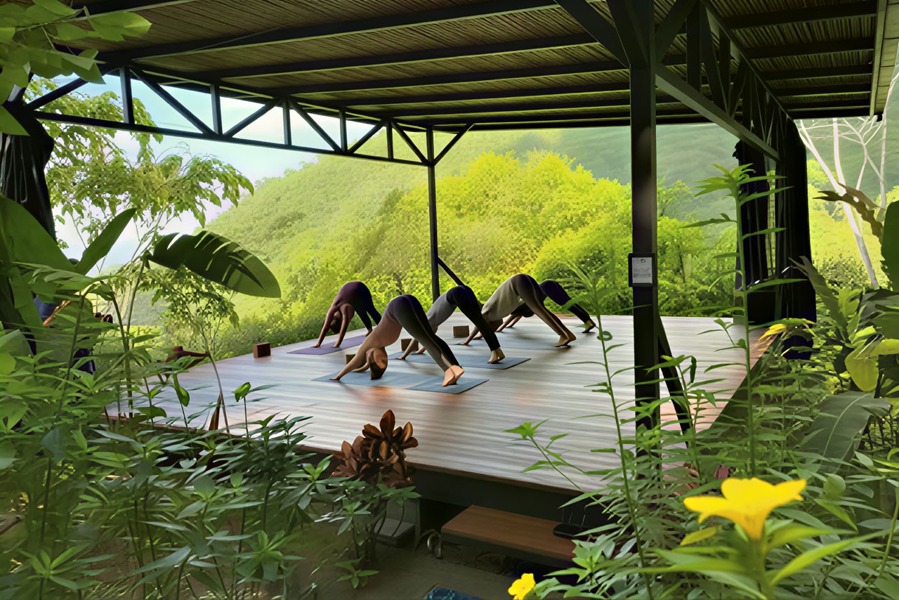 Naturens Lyckorus Retreat Costa Rica