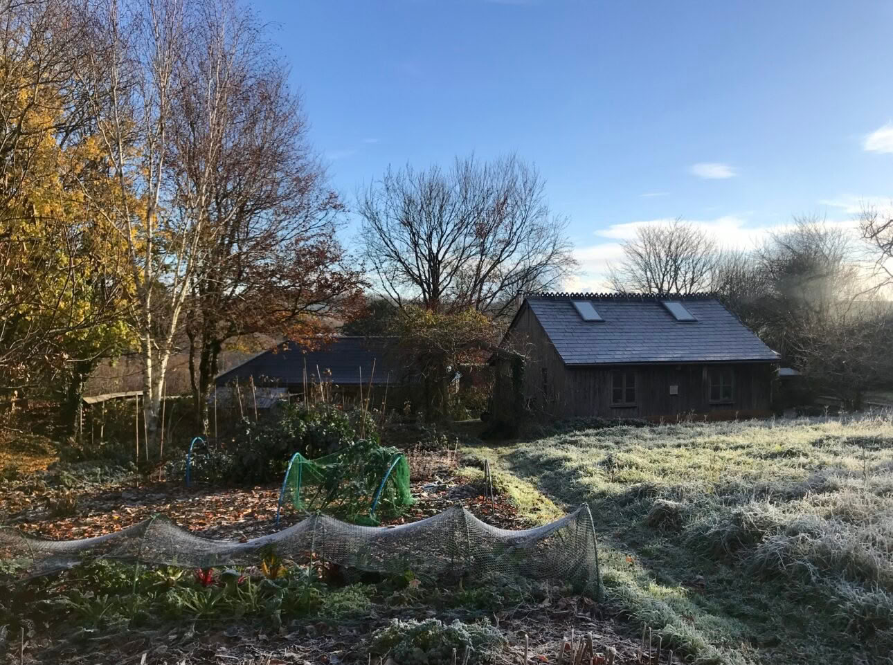 Retreater, dagar och kurser – höstretreatdagar på The Yoga House
