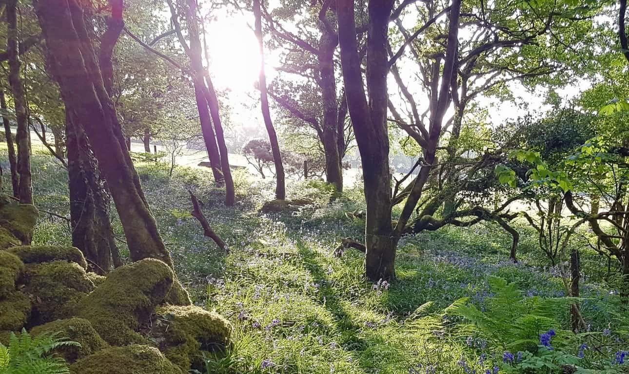 Retreater, dagar och kurser – höstretreatdagar på The Yoga House