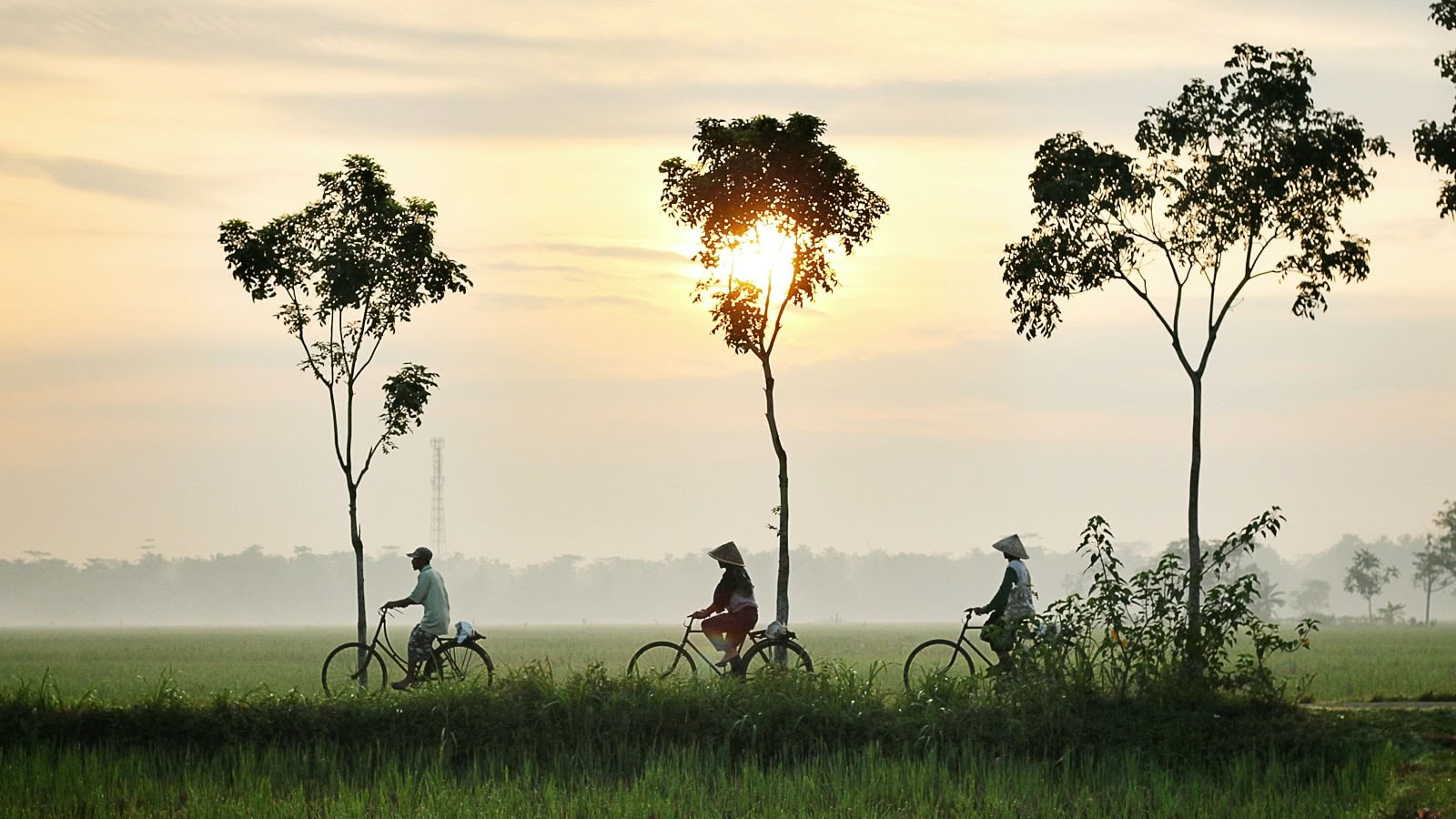 Berikande yogaretreat och vandring i Vietnam 2026