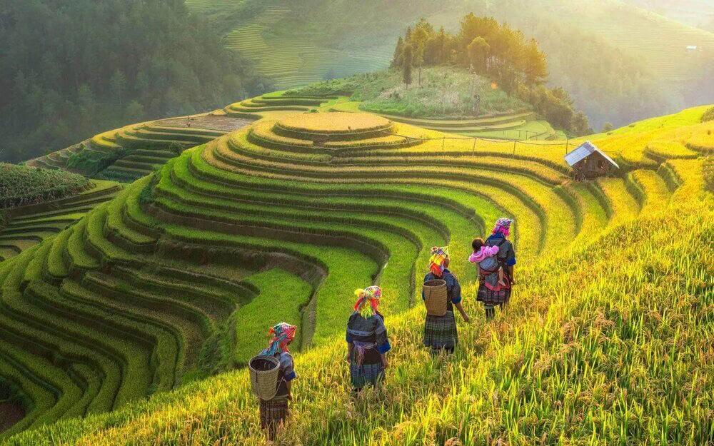 Berikande yogaretreat och vandring i Vietnam 2026
