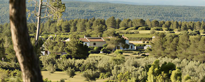 Tystnadsretreat
