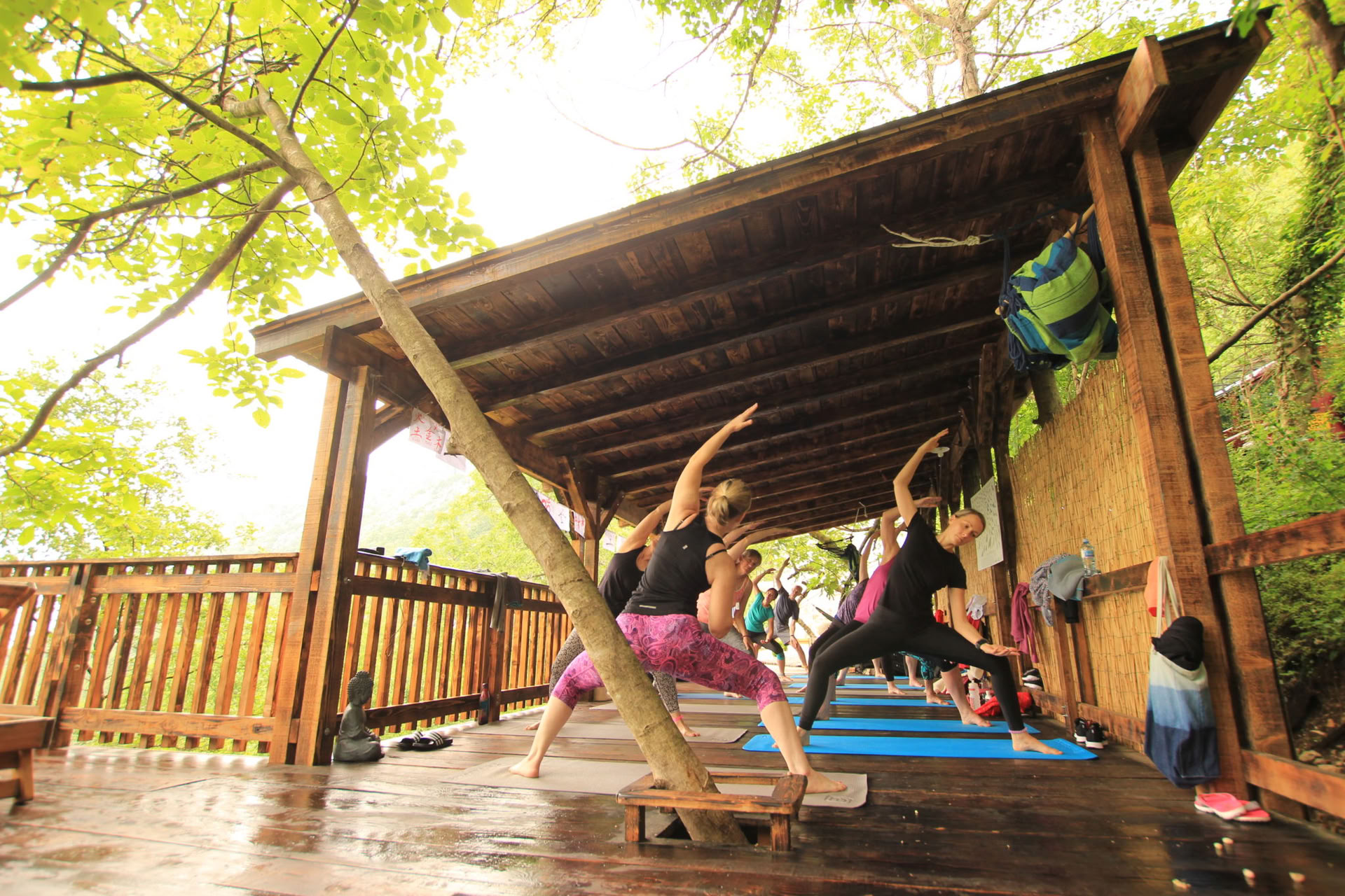 7 dagars yogasemester vid Skadarsjön, Montenegro