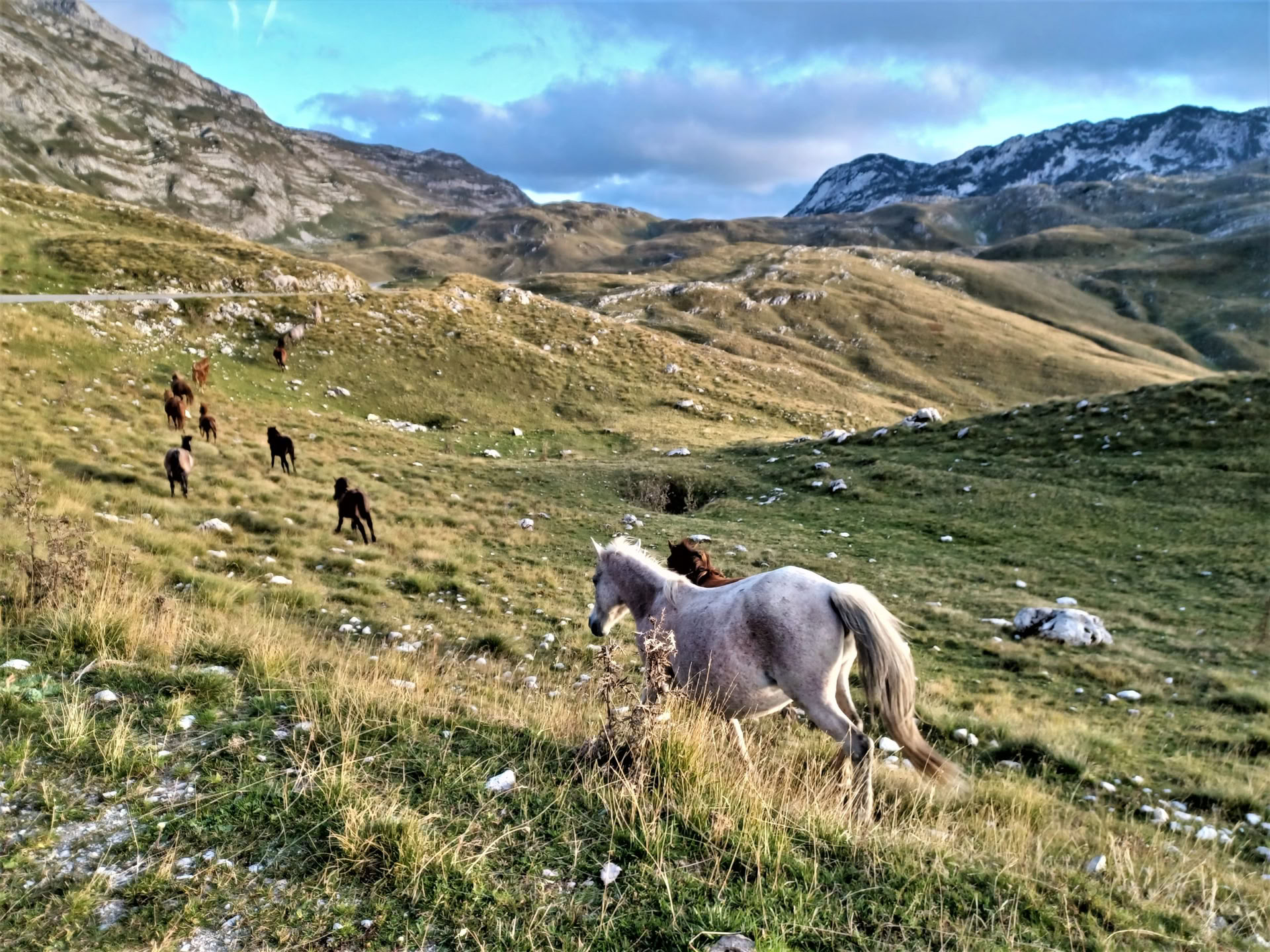 7-dagars vandringssemester i Montenegro