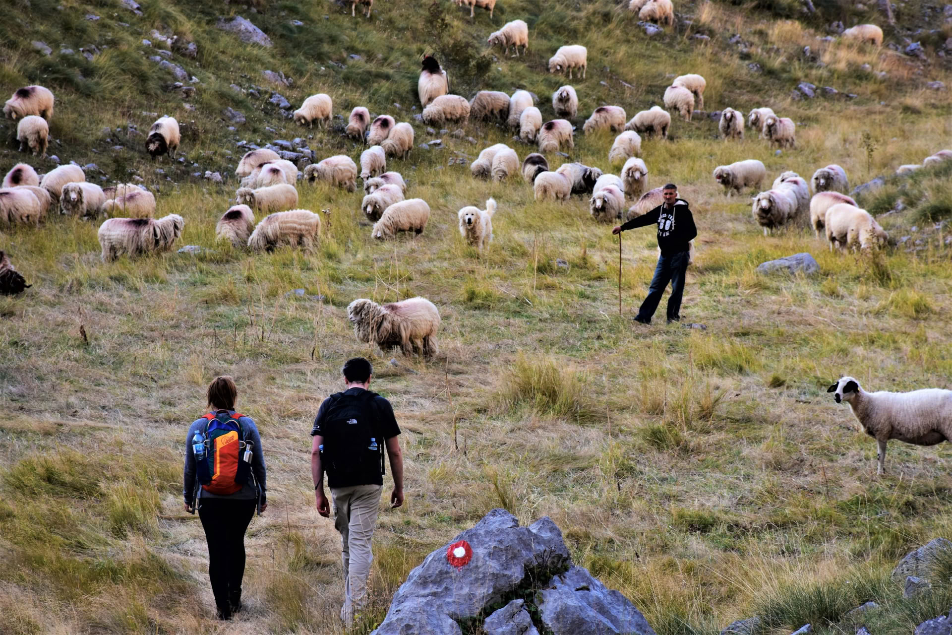 7-dagars vandringssemester i Montenegro