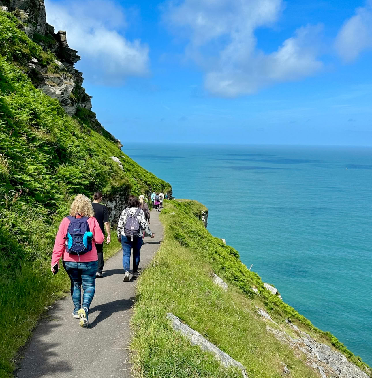 Yoga-retreat i trädtopparna i Devon