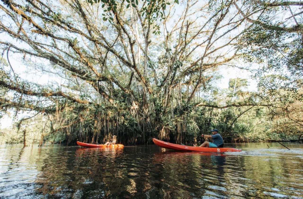 10-dagars reträtt i Amazonas