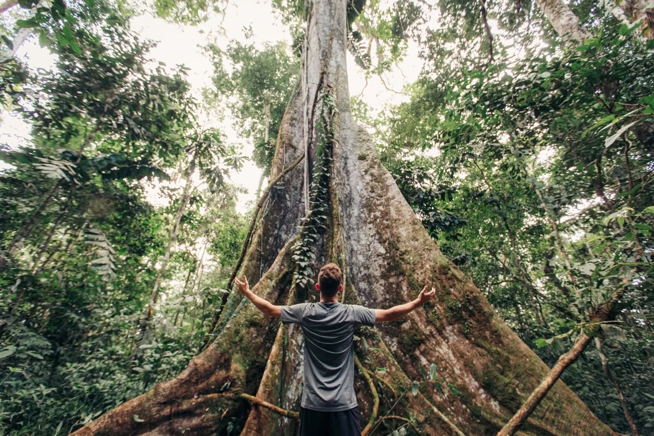10-dagars reträtt i Amazonas