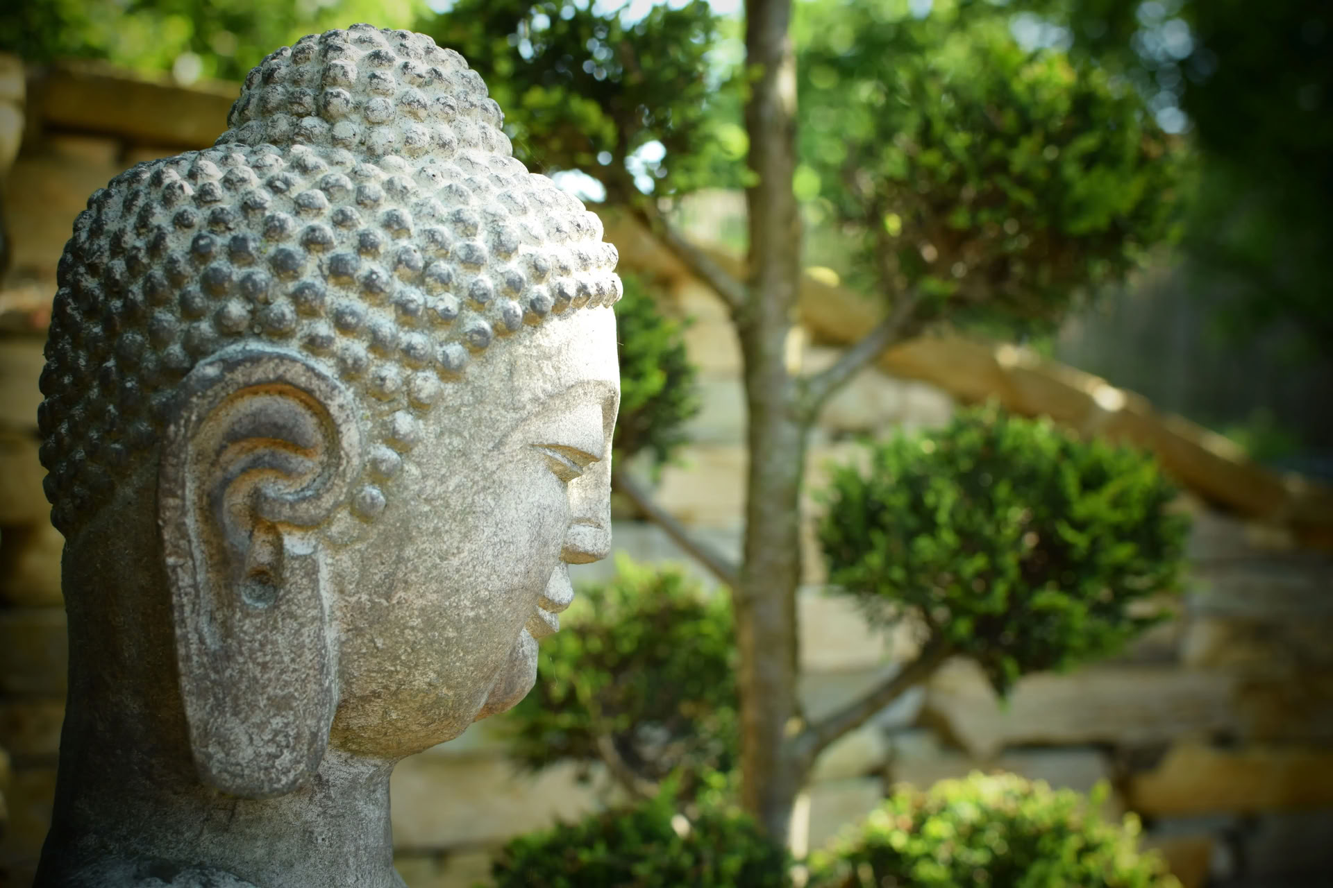 Vipassana (insiktsmeditation)