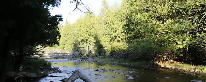 Bortom regnbågen