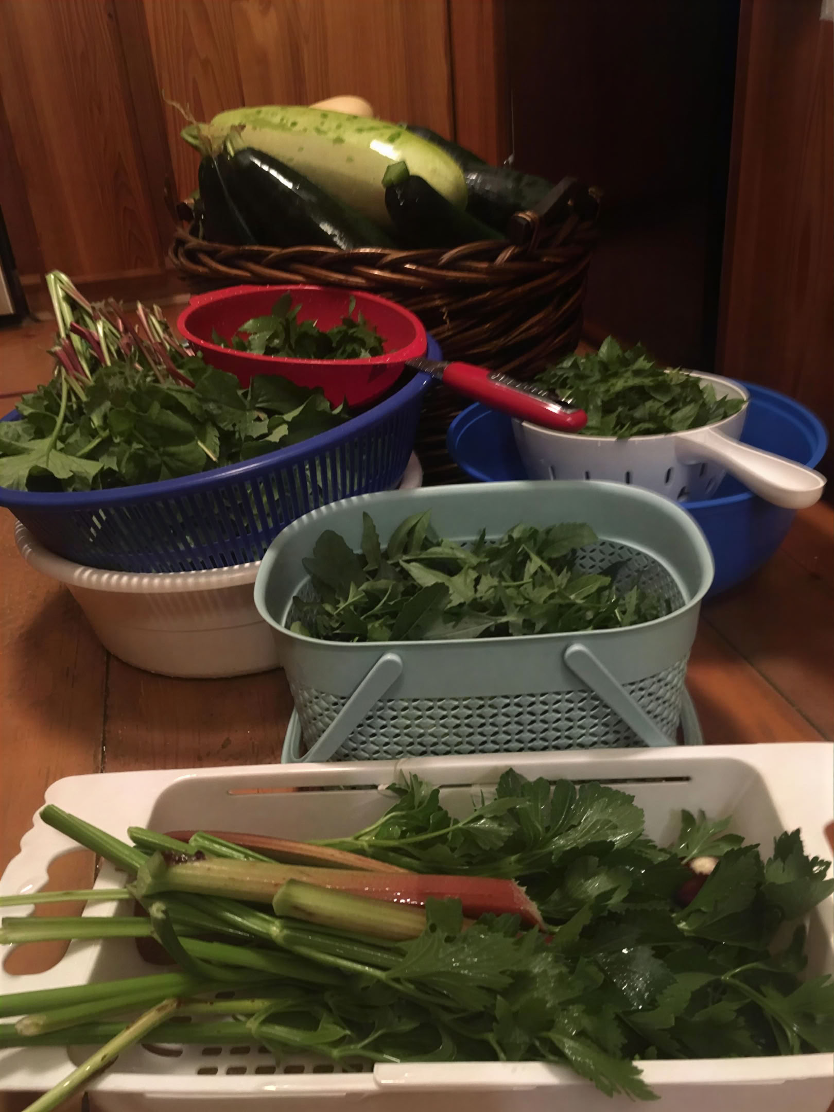 Företags- eller gruppretreater