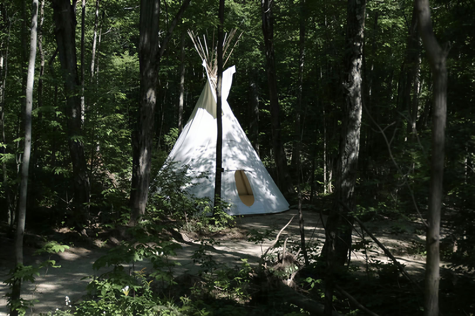 Faciliterad yoga i naturen