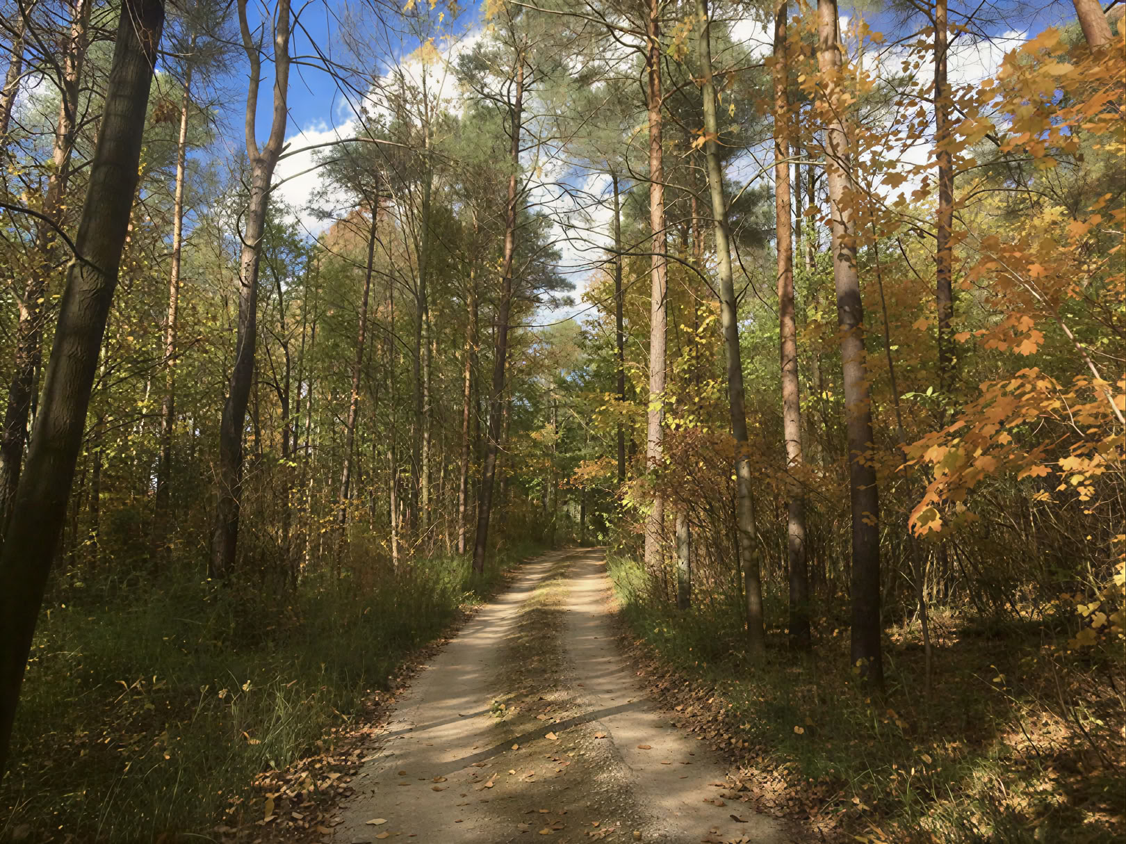 Faciliterad yoga i naturen