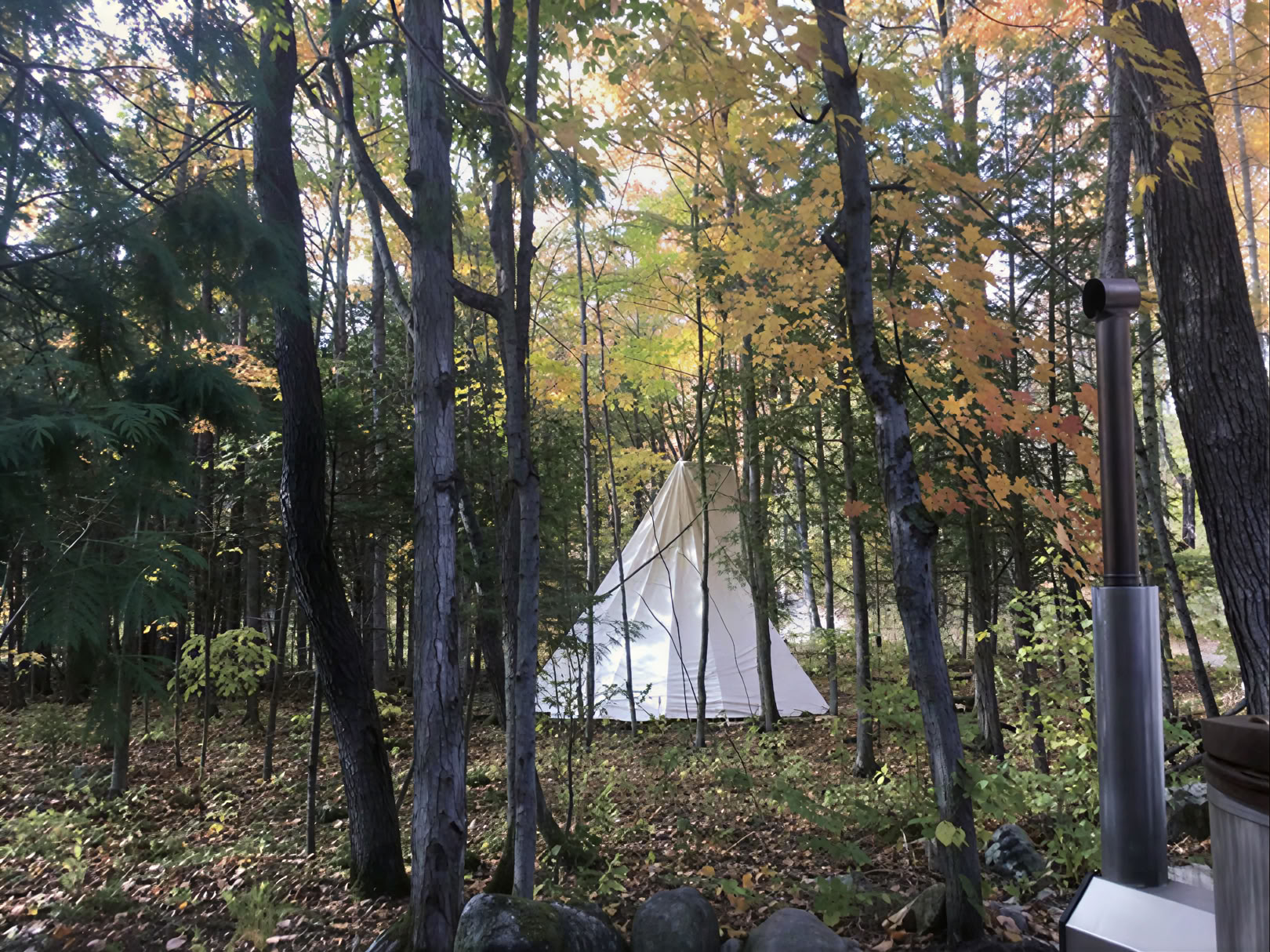 Faciliterad yoga i naturen
