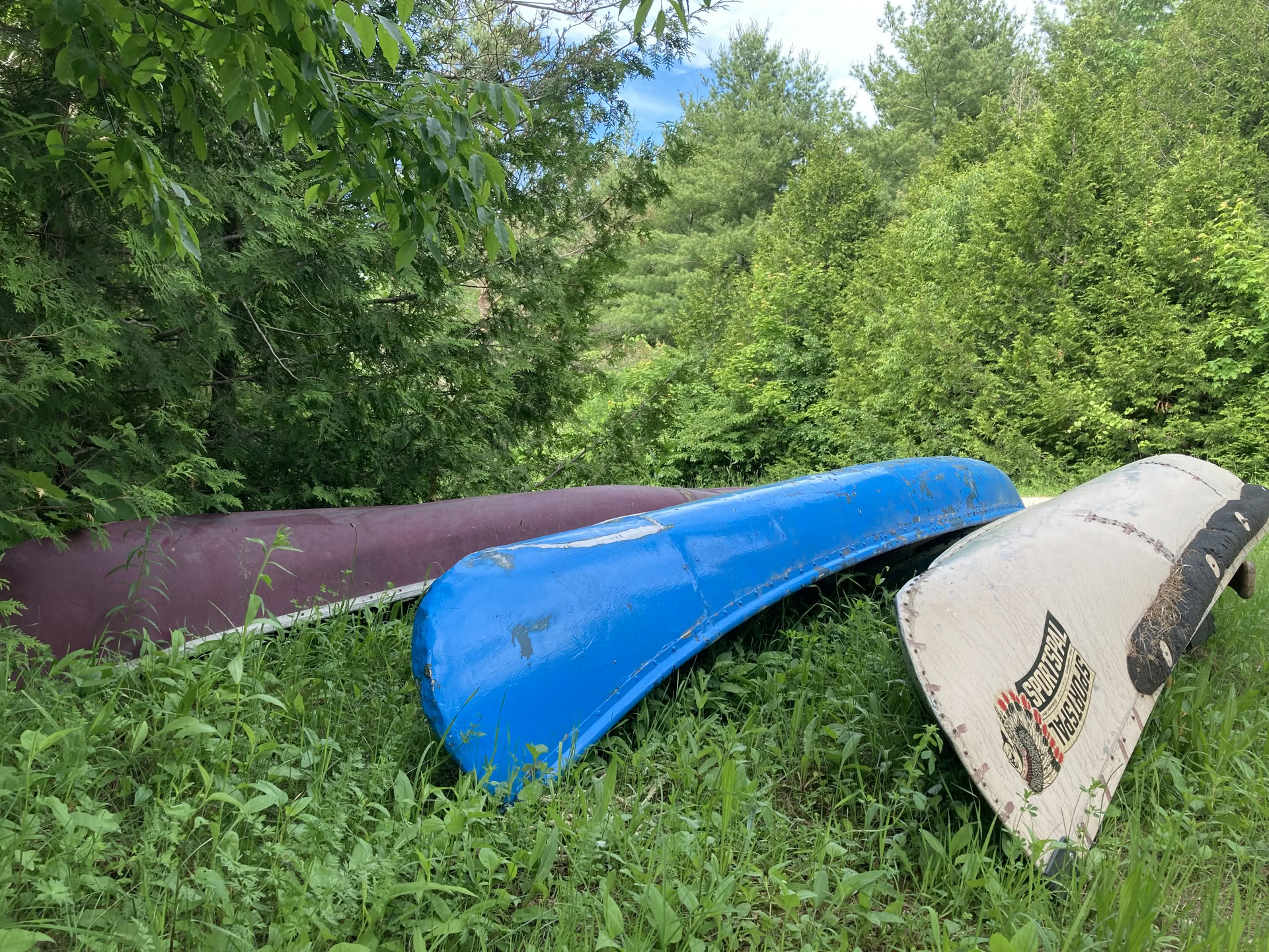 Kanotpaddling