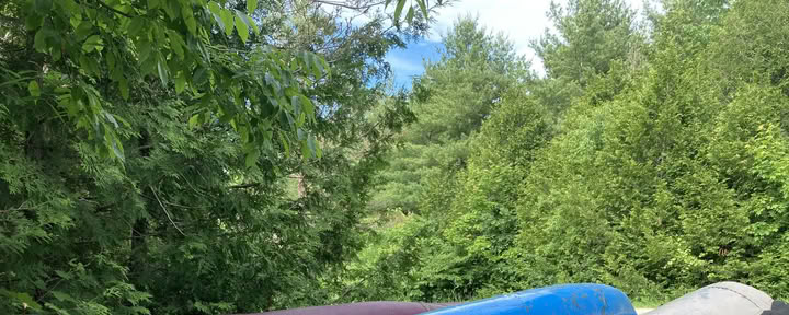Kanotpaddling