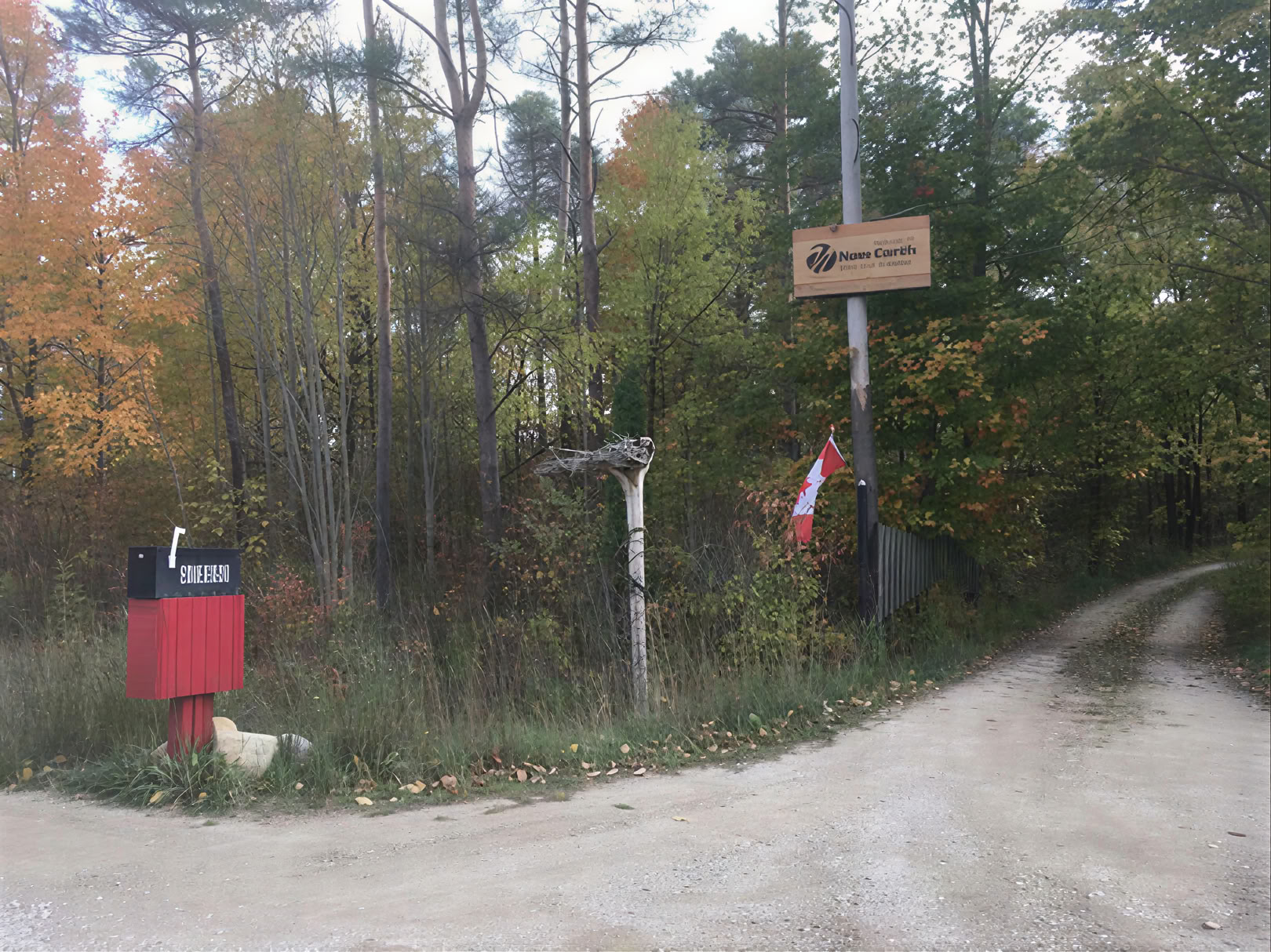 Snöskovandring